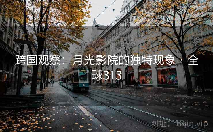 跨国观察:月光影院的独特现象 · 全球313 第2张 跨国观察:月光影院的独特现象 · 全球313 第2张